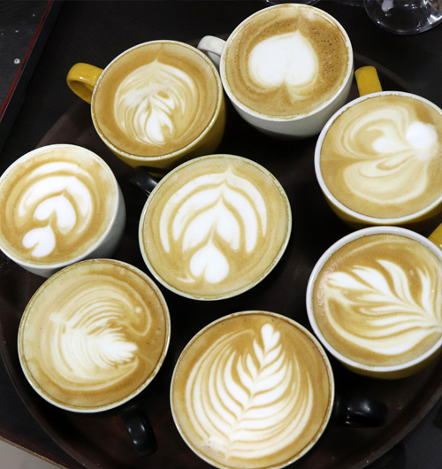 Professional Barista Training